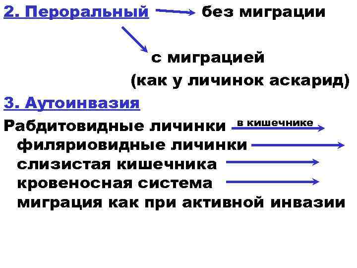 2. Пероральный без миграции с миграцией (как у личинок аскарид) 3. Аутоинвазия Рабдитовидные личинки