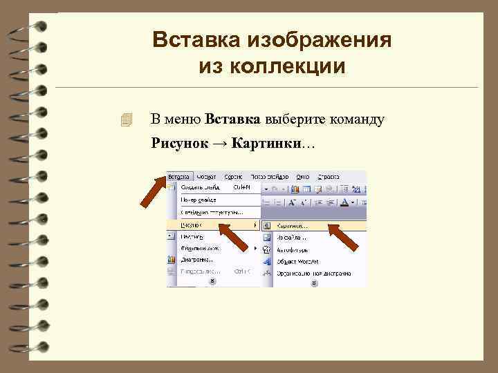 Вставка изображения из коллекции 4 В меню Вставка выберите команду Рисунок → Картинки… 