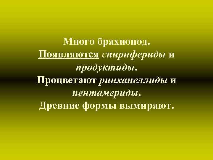 Много брахиопод. Появляются спирифериды и продуктиды. Процветают ринханеллиды и пентамериды. Древние формы вымирают. 