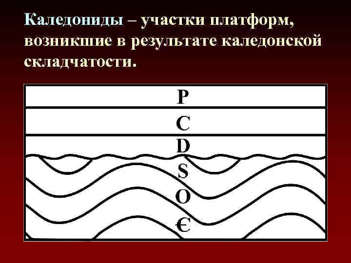 Каледониды – участки платформ, возникшие в результате каледонской складчатости. 
