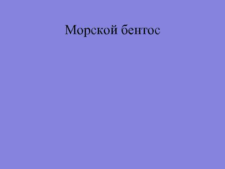 Морской бентос 