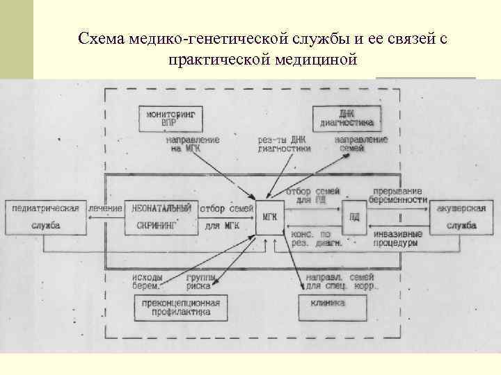 Схема медико-генетической службы и ее связей с практической медициной 