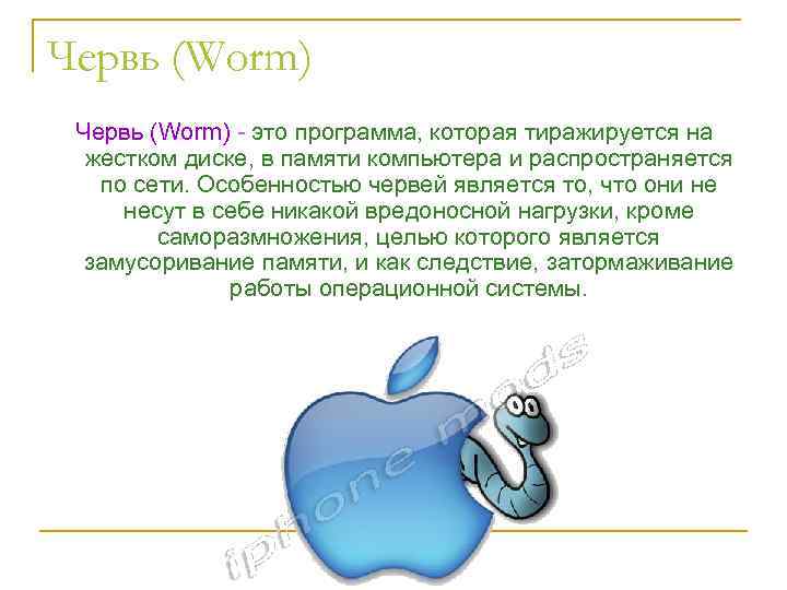 Червь (Worm) - это программа, которая тиражируется на жестком диске, в памяти компьютера и