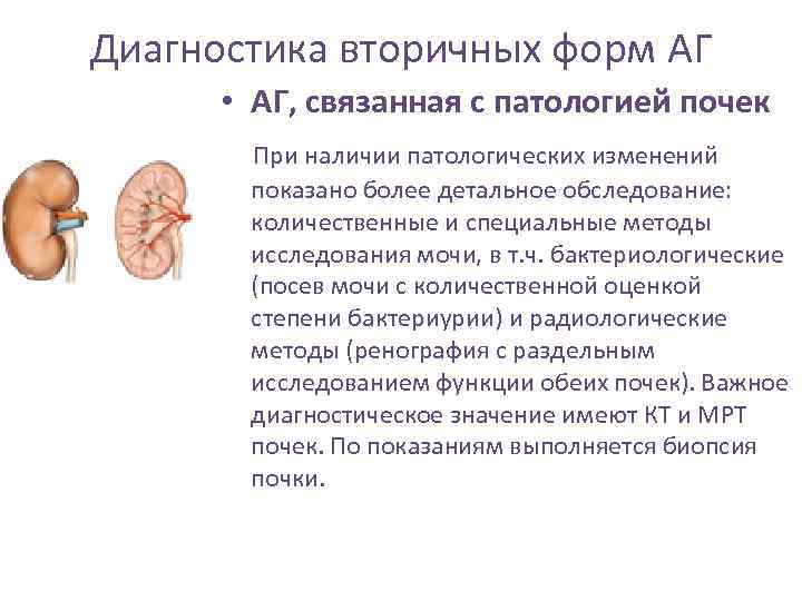 Диагностика вторичных форм АГ • АГ, связанная с патологией почек При наличии патологических изменений