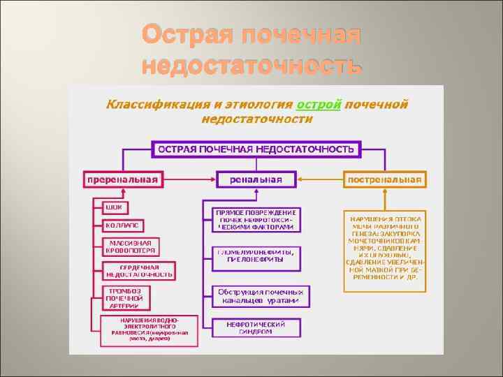 Острая почечная недостаточность 