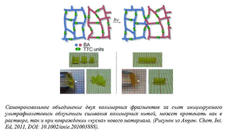 Самопроизвольное объединение двух полимерных фрагментов за счет инициируемого ультрафиолетовым облучением сшивания полимерных нитей, может