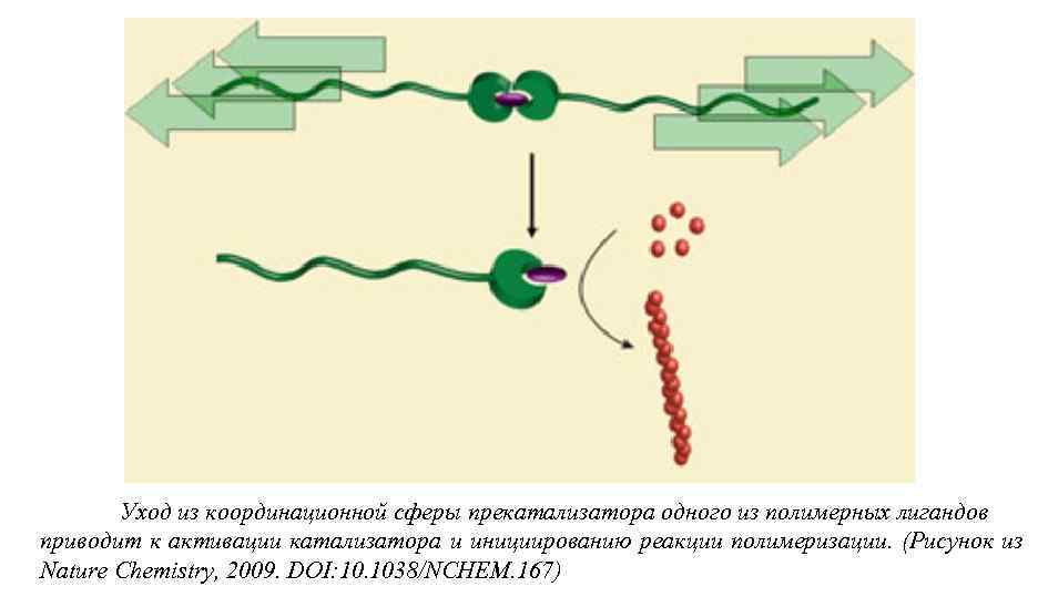 Уход из координационной сферы прекатализатора одного из полимерных лигандов приводит к активации катализатора и