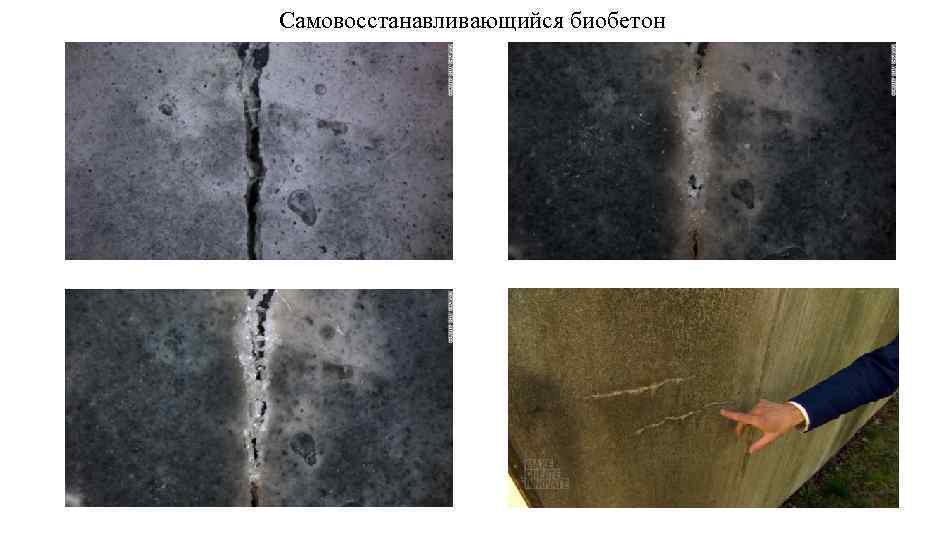 Самовосстанавливающийся биобетон 