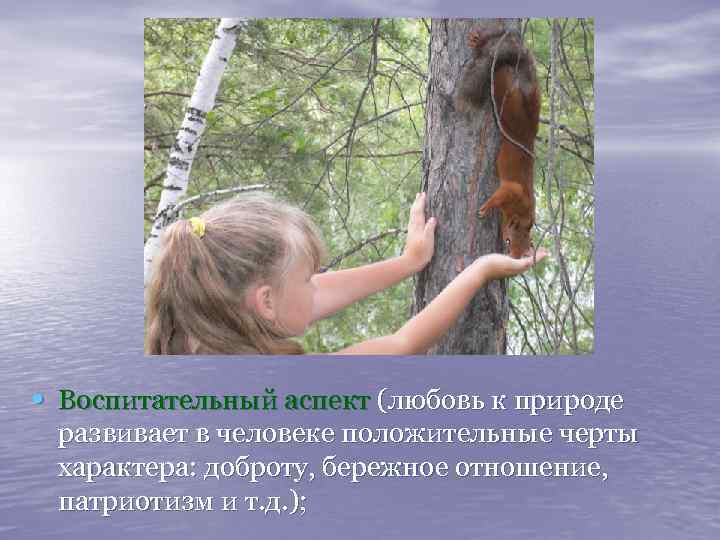  • Воспитательный аспект (любовь к природе развивает в человеке положительные черты характера: доброту,