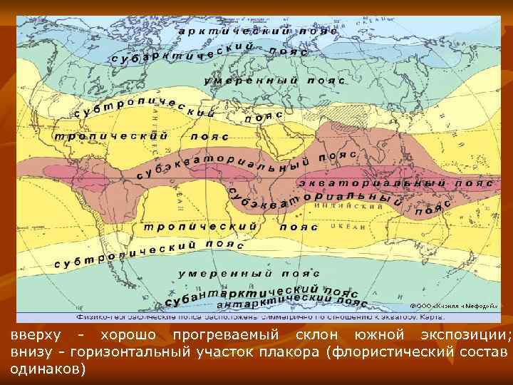 вверху - хорошо прогреваемый склон южной экспозиции; внизу - горизонтальный участок плакора (флористический состав