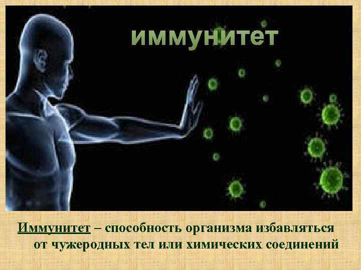 Иммунитет биология