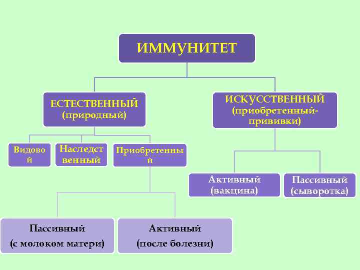 ИММУНИТЕТ ИСКУССТВЕННЫЙ (приобретенныйпрививки) ЕСТЕСТВЕННЫЙ (природный) Видово й Наследст венный Приобретенны й Активный (вакцина) Пассивный