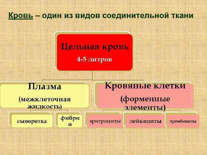 Кровь – один из видов соединительной ткани Цельная кровь 4 -5 литров Плазма Кровяные