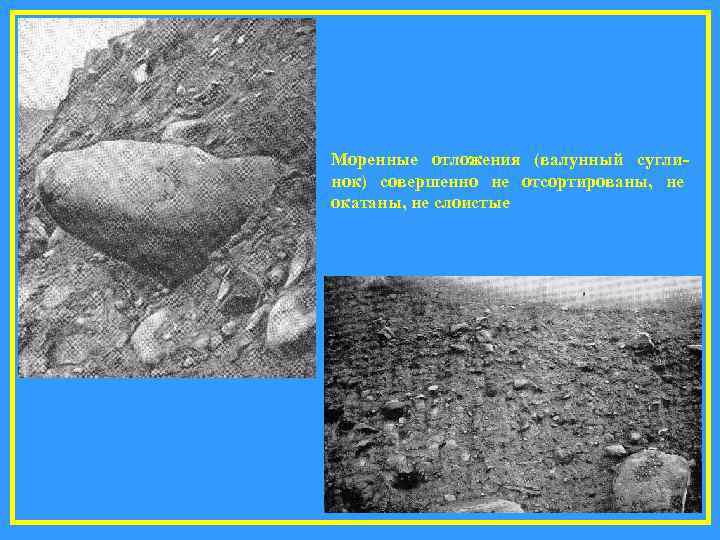 Моренные отложения (валунный суглинок) совершенно не отсортированы, не окатаны, не слоистые 
