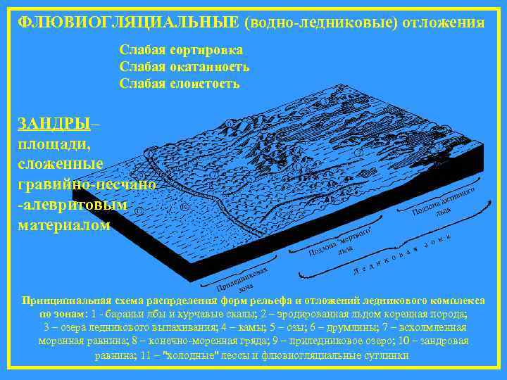 ФЛЮВИОГЛЯЦИАЛЬНЫЕ (водно-ледниковые) отложения Слабая сортировка Слабая окатанность Слабая слоистость ЗАНДРЫ– площади, сложенные гравийно-песчано -алевритовым