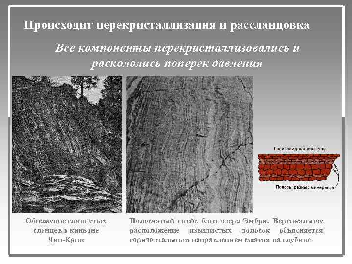 Происходит перекристаллизация и рассланцовка Все компоненты перекристаллизовались и раскололись поперек давления Обнажение глинистых сланцев