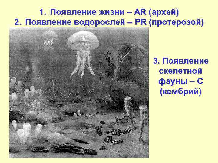 1. Появление жизни – AR (архей) 2. Появление водорослей – PR (протерозой) 3. Появление