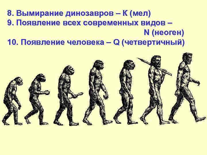 8. Вымирание динозавров – К (мел) 9. Появление всех современных видов – N (неоген)