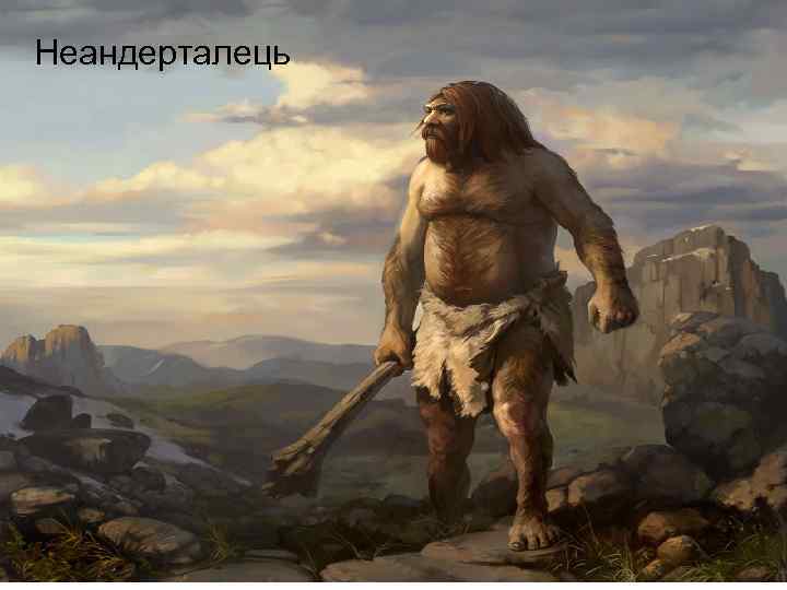 Неандерталець 