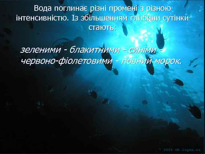 Вода поглинає різні промені з різною інтенсивністю. Із збільшенням глибини сутінки стають: зеленими -