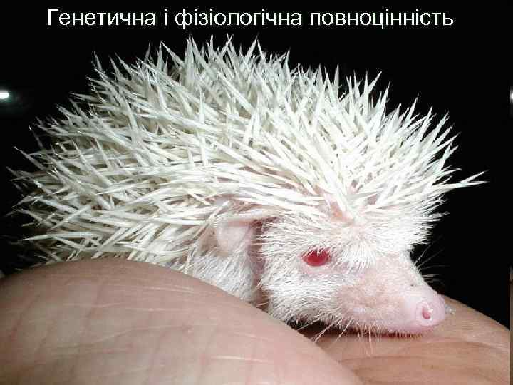 Генетична і фізіологічна повноцінність 