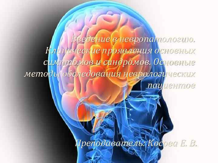  Введение в невропатологию. Клинические проявления основных симптомов и синдромов. Основные методы обследования неврологических