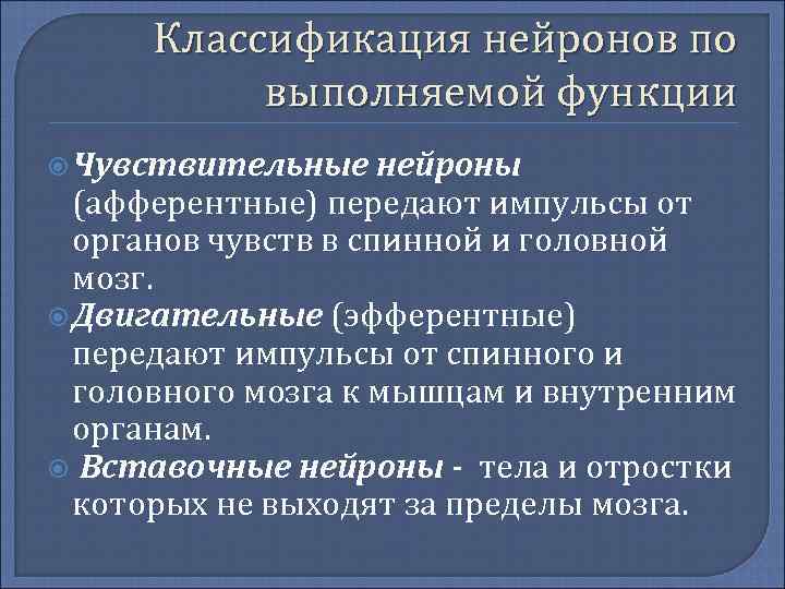 Классификация нейронов по выполняемой функции Чувствительные нейроны (афферентные) передают импульсы от органов чувств в