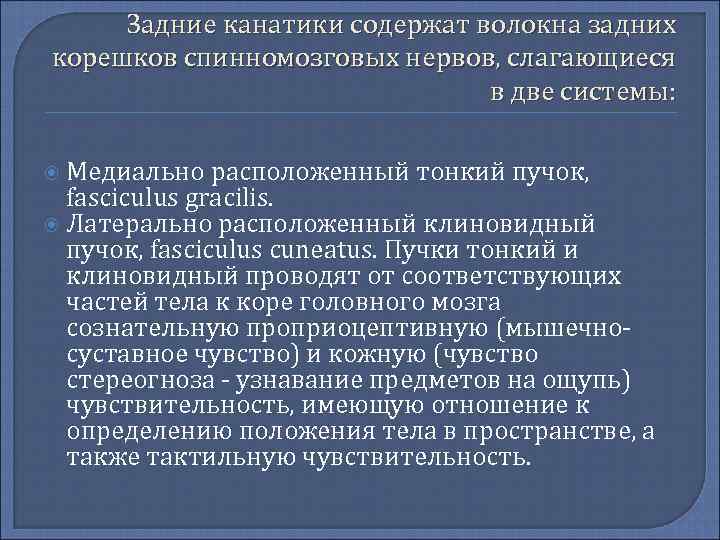 Задние канатики содержат волокна задних корешков спинномозговых нервов, слагающиеся в две системы: Медиально расположенный