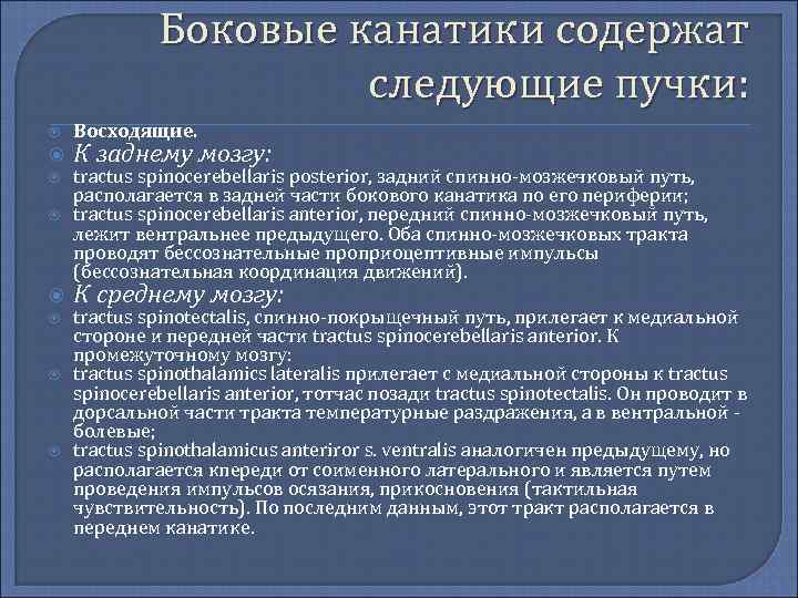 Боковые канатики содержат следующие пучки: Восходящие. К заднему мозгу: tractus spinocerebellaris posterior, задний спинно