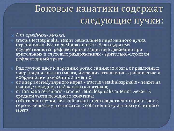 Боковые канатики содержат следующие пучки: От среднего мозга: tractus tectospinalis, лежит медиальнее пирамидного пучка,