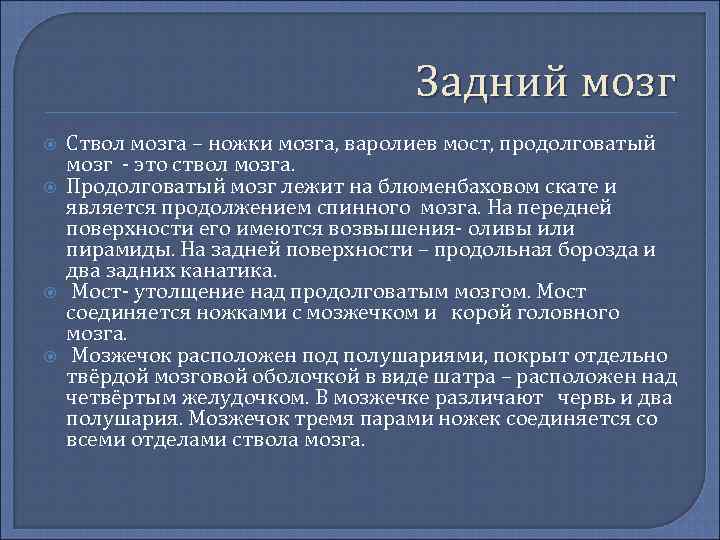 Задний мозг Ствол мозга – ножки мозга, варолиев мост, продолговатый мозг это ствол мозга.