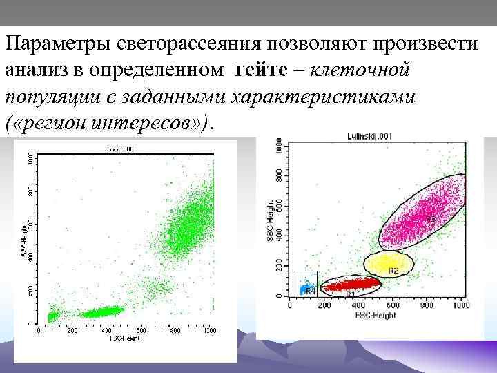 Параметры светорассеяния позволяют произвести анализ в определенном гейте – клеточной популяции с заданными характеристиками