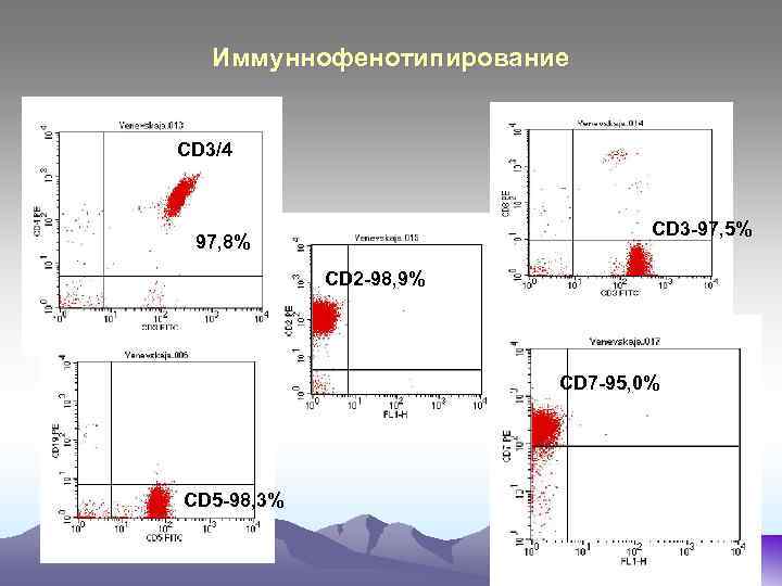 Иммуннофенотипирование CD 3/4 CD 3 -97, 5% 97, 8% CD 2 -98, 9% CD