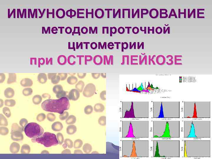 Схема подсчета лимфоцитов разных популяций с помощью проточного цитофлюориметра иммунология