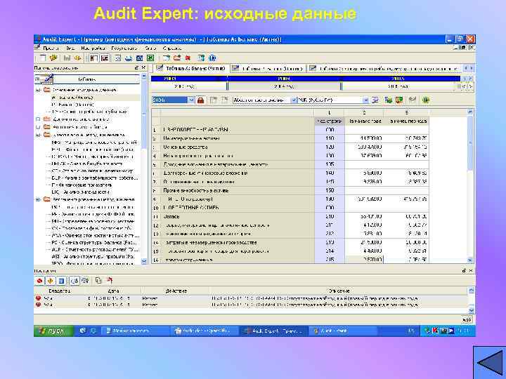 Audit Expert: исходные данные 