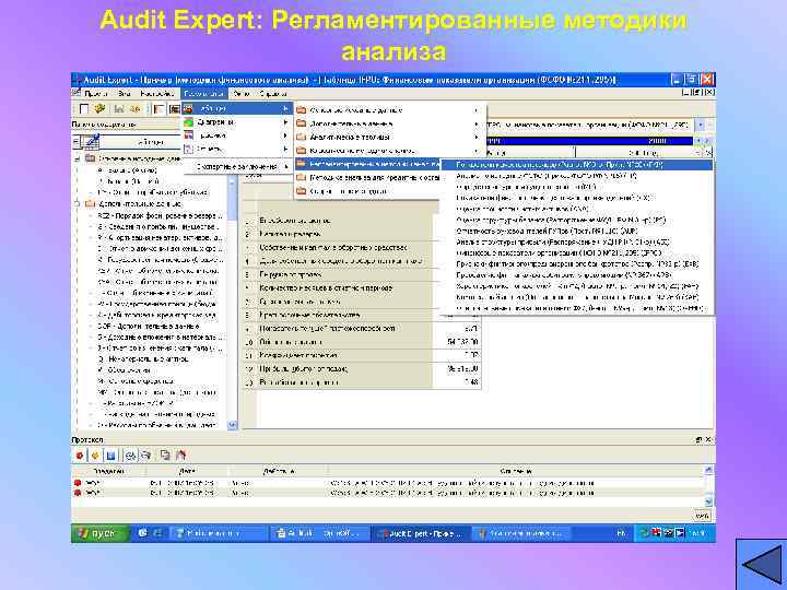 Audit Expert: Регламентированные методики анализа 