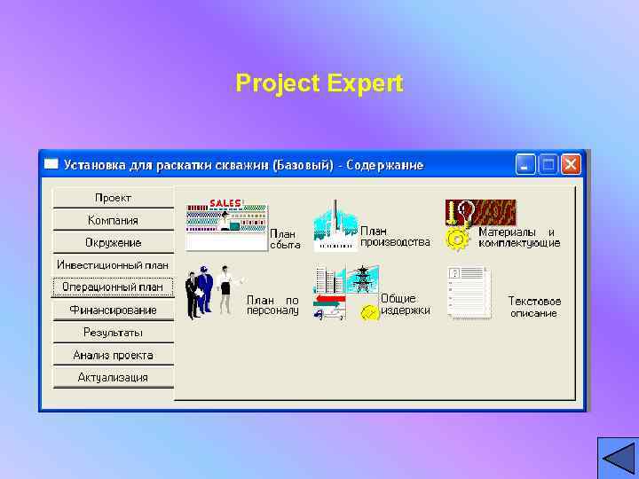 Project Expert 