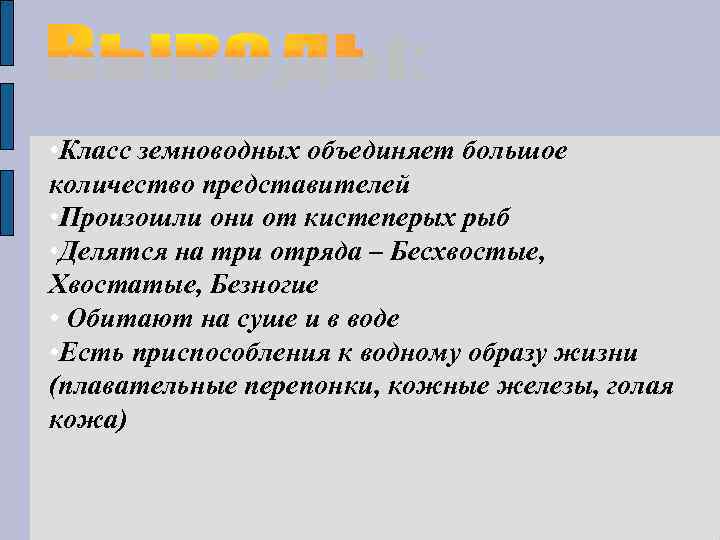  • Класс земноводных объединяет большое количество представителей • Произошли они от кистеперых рыб