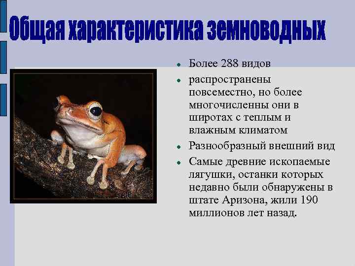  Более 288 видов распространены повсеместно, но более многочисленны они в широтах с теплым