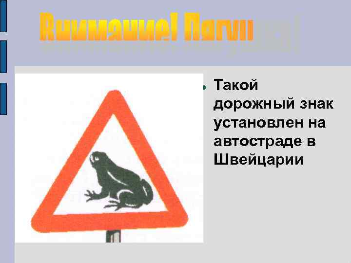  Такой дорожный знак установлен на автостраде в Швейцарии 