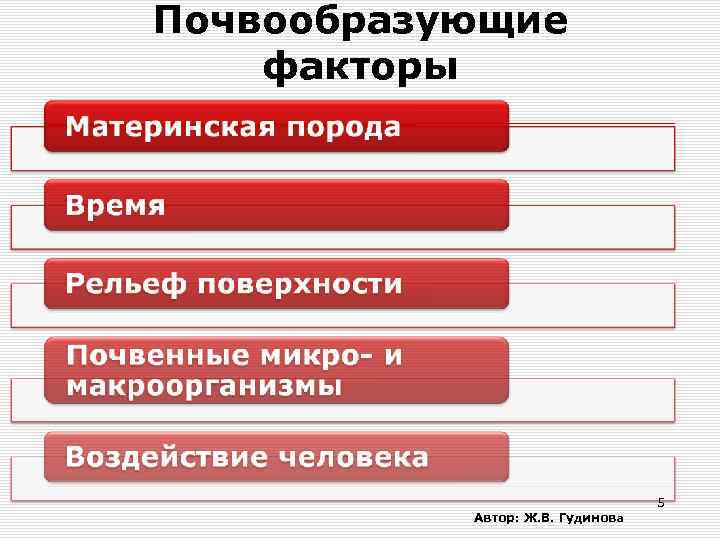 Почвообразующие факторы Автор: Ж. В. Гудинова 5 