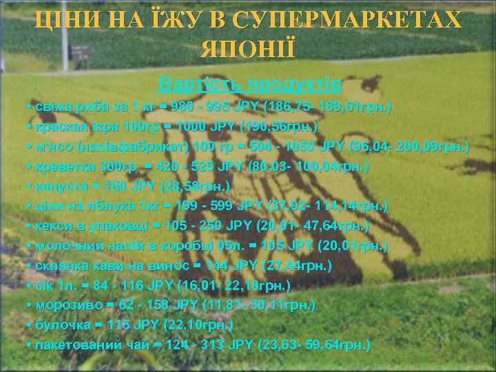 ЦІНИ НА ЇЖУ В СУПЕРМАРКЕТАХ ЯПОНІЇ Вартість продуктів • свіжа риба за 1 кг