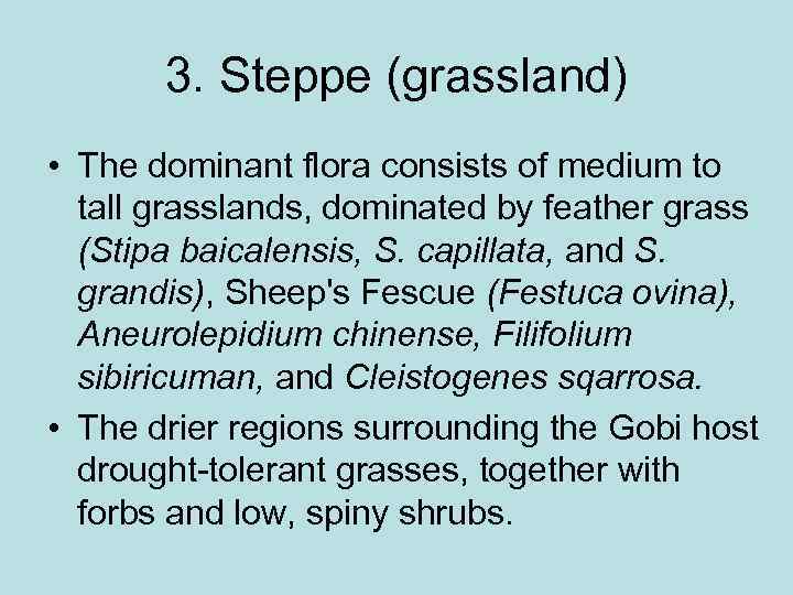 3. Steppe (grassland) • The dominant flora consists of medium to tall grasslands, dominated
