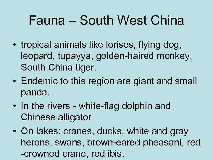 Fauna – South West China • tropical animals like lorises, flying dog, leopard, tupayya,