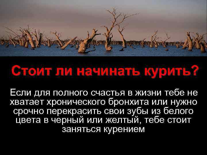 Стоит ли начинать курить? Если для полного счастья в жизни тебе не хватает хронического