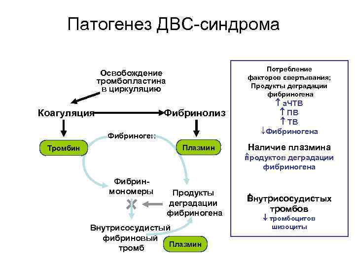 Схема двс синдрома