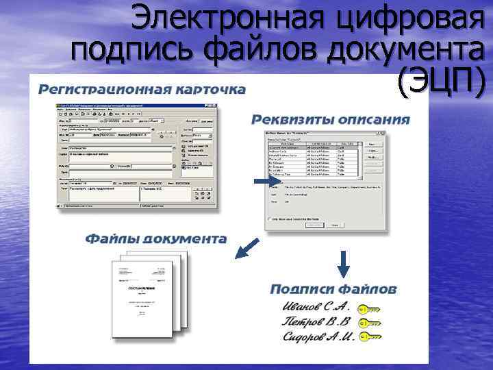 Электронная цифровая подпись файлов документа (ЭЦП) 