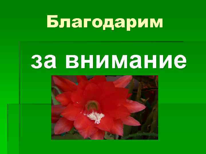 Благодарим за внимание 