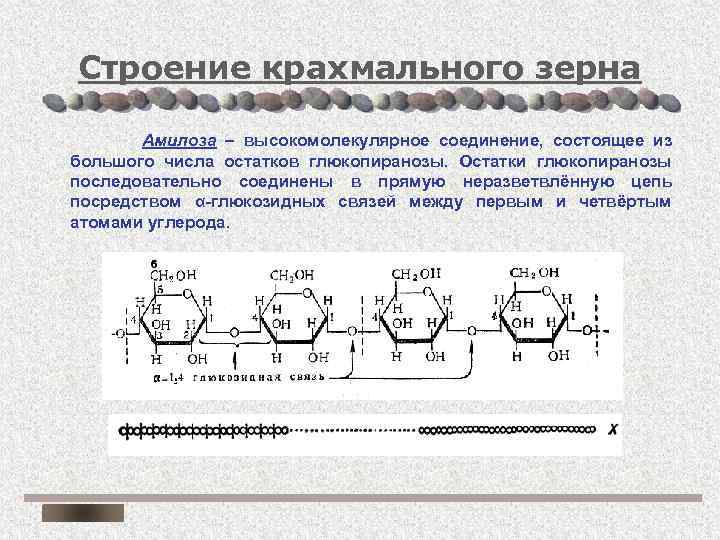 Строение цепи. Крахмал строение крахмального зерна. Строение зерен крахмала. Строение крахмала структура зерно. Строение цепи крахмала.