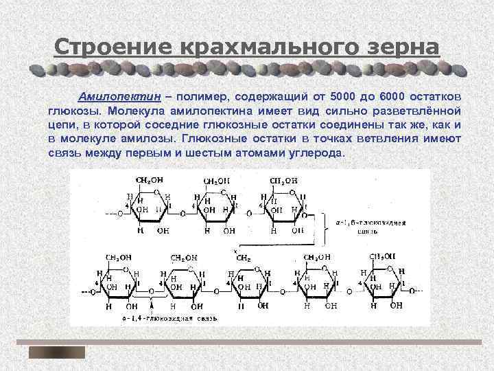 Вид молекулы глюкозы крахмала. Амилопектин, строение его молекулы. Молекула крахмала амилоза и амилопектин. Строение цепи крахмала. Полимер амилопектин.